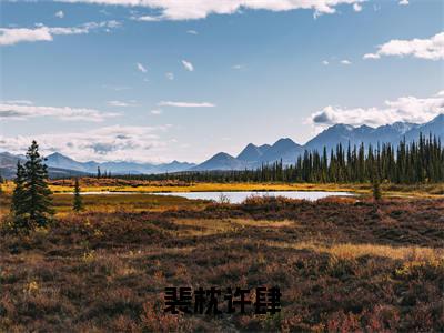 裴枕许肆(裴枕许肆)全文免费阅读无弹窗_(裴枕许肆)小说最新章节列表笔趣阁