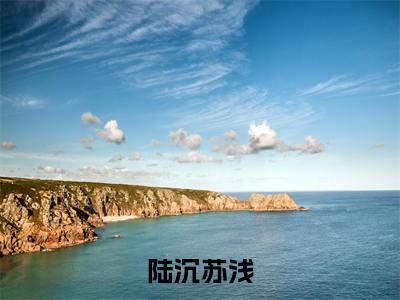陆沉苏浅(陆沉苏浅)全文免费阅读无弹窗_陆沉苏浅小说免费阅读_笔趣阁