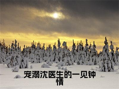 黎笙沈宴辰小说（宠溺沈医生的一见钟情）全文免费读无弹窗大结局_黎笙沈宴辰小说免费阅读-笔趣阁（宠溺沈医生的一见钟情）
