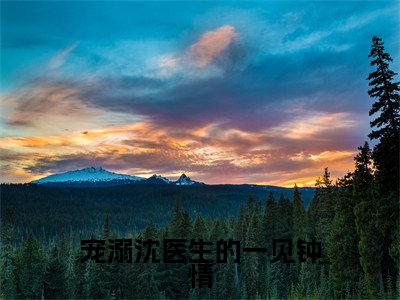 宠溺沈医生的一见钟情(黎笙沈宴辰)全文免费阅读无弹窗大结局_黎笙沈宴辰小说全文无弹窗