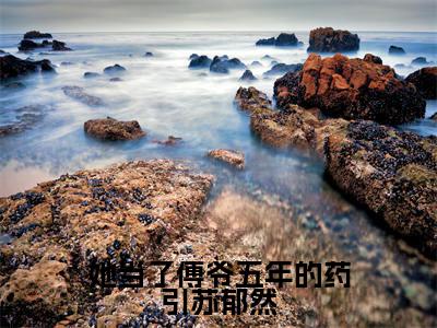 她当了傅爷五年的药引苏郁然(傅寒洲苏郁然全文免费大结局)在线阅读-傅寒洲苏郁然全文无删减免费赏析