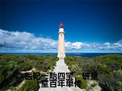 医妃一胎四宝,破皇室百年单传(洛倾颜)全文完整版免费阅读_洛倾颜医妃一胎四宝,破皇室百年单传全文免费阅读