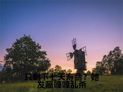 只剩下七天寿命?她发疯嘎嘎乱杀(晏东凰)最新小说全文阅读-热点小说只剩下七天寿命?她发疯嘎嘎乱杀(晏东凰)最新章节免费阅读