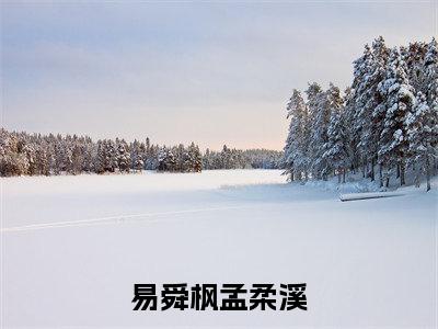 易舜枫孟柔溪(孟柔溪易舜枫)热门免费小说-孟柔溪易舜枫(易舜枫孟柔溪)精彩小说全文赏析