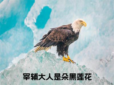 宰辅大人是朵黑莲花美文欣赏完整版,顾七精彩章节在线阅读