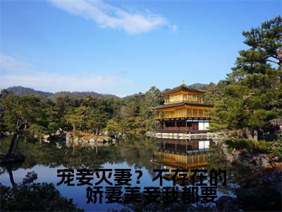 沈金鳞小说(宠妾灭妻?不存在的,娇妻美妾我都要)全文免费阅读无弹窗大结局_沈金鳞(宠妾灭妻?不存在的,娇妻美妾我都要)最新章节列表