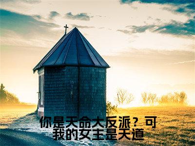 你是天命大反派？可我的女主是天道高赞小说（陈霄）完结阅读_你是天命大反派？可我的女主是天道全文完整版免费阅读最新章节列表