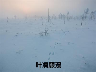 叶凛颜漫(颜漫叶凛)全文完整版免费阅读_颜漫叶凛叶凛颜漫全文免费阅读