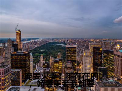 宠妾灭妻?不存在的,娇妻美妾我都要(沈金鳞)全文免费读无弹窗大结局_(沈金鳞免费小说)宠妾灭妻?不存在的,娇妻美妾我都要无弹窗最新章节列表
