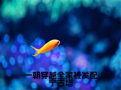 一朝穿越全家被发配宁古塔全文免费阅读无弹窗大结局_(白小月)最新章节列表_笔趣阁(一朝穿越全家被发配宁古塔小说)