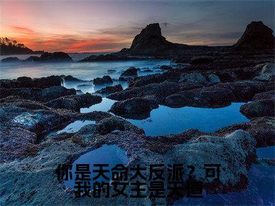 你是天命大反派?可我的女主是天道(陈霄)免费阅读无弹窗大结局_你是天命大反派?可我的女主是天道小说(陈霄)免费阅读最新章节列表