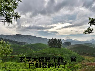 (玄学大佬算个命,客户都要碎掉了)全文免费阅读无弹窗(玄学大佬算个命,客户都要碎掉了)陶夕已完结全集大结局