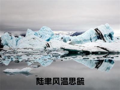 陆聿风温思毓免费阅读无弹窗最新章节列表-(温思毓陆聿风)全文免费阅读大结局笔趣阁(温思毓陆聿风)