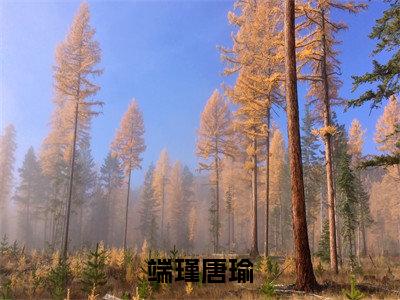 端瑾唐瑜小说全文在线赏析唐瑜端瑾小说免费阅读全文大结局