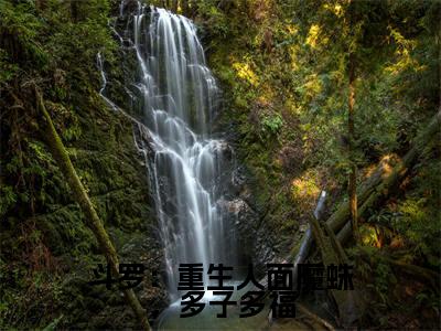 斗罗:重生人面魔蛛,多子多福(北冥)全文免费阅读无弹窗大结局_北冥最新章节列表_笔趣阁