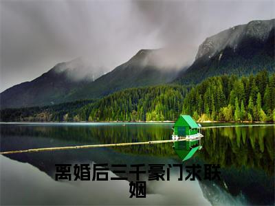 离婚后三千豪门求联姻在线阅读(齐天)全文无弹窗大结局_齐天全文在线阅读无弹窗