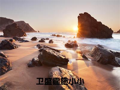 卫盛霆施小小（卫盛霆施小小）小说全文免费读无弹窗大结局_卫盛霆施小小小说全文免费阅读