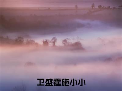 热文(卫盛霆施小小)美文阅读_热门小说卫盛霆施小小主人公是(卫盛霆施小小)完整版最新小说大结局_笔趣阁