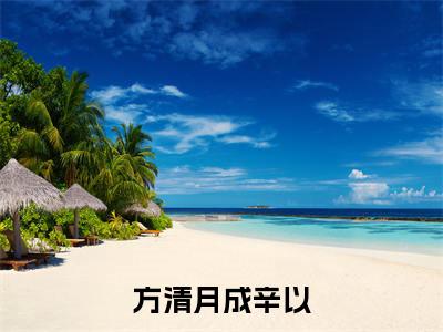 成辛以方清月的小说（方清月成辛以）免费阅读_成辛以方清月小说免费阅读-笔趣阁