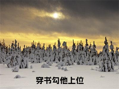 穿书勾他上位全文免费阅读无弹窗大结局_(苏婧瑶无弹窗)穿书勾他上位全文阅读最新章节列表笔趣阁