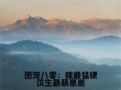 团宠八零:嫁最猛硬汉生最萌崽崽刘团圆卫南凛小说结局-团宠八零:嫁最猛硬汉生最萌崽崽全文无弹窗阅读