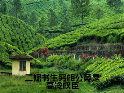 二嫁书生穷相公竟是高冷权臣温玉雪免费小说温玉雪全文无弹窗完整版阅读