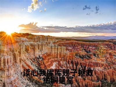 读心我库库赐子拯救绝嗣皇室(牧谷)最新章节在线阅读-老书虫推荐读心我库库赐子拯救绝嗣皇室小说