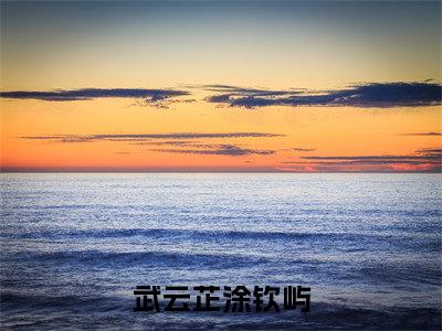武云芷涂钦屿全文免费在线阅读大结局_(武云芷涂钦屿免费阅读无弹窗)武云芷涂钦屿全文免费完结版阅读(武云芷涂钦屿)