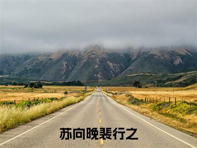 苏向晚裴行之小说:(苏向晚裴行之)全文免费阅读无弹窗大结局_裴行之苏向晚小说:苏向晚裴行之最新章节列表