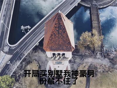 开局买别墅我神豪身份藏不住了(林凡)全文免费在线阅读_开局买别墅我神豪身份藏不住了全文阅读_笔趣阁(林凡)