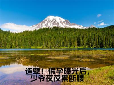 造孽！假孕曝光后，少爷夜夜累断腰（沈樾五月精彩美文）免费阅读-小说沈樾五月最后结局如何