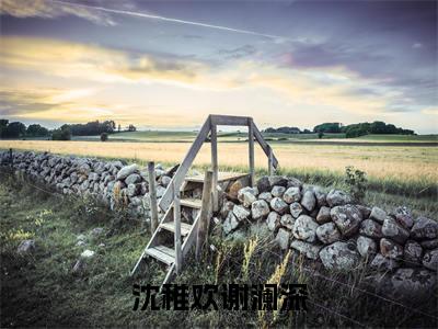 谢澜深沈稚欢(沈稚欢谢澜深)全文免费谢澜深沈稚欢读无弹窗大结局_沈稚欢谢澜深免费谢澜深沈稚欢读全文最新章节列表_笔趣阁