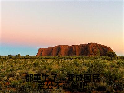 都重生了,变成国民老公不过份吧(凌零)全章节完整版免费小说_都重生了,变成国民老公不过份吧最新章节在线阅读_笔趣阁
