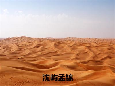 孟锦沈屿沈屿孟锦小说全文免费阅读_沈屿孟锦(孟锦沈屿)最新章节列表笔趣阁