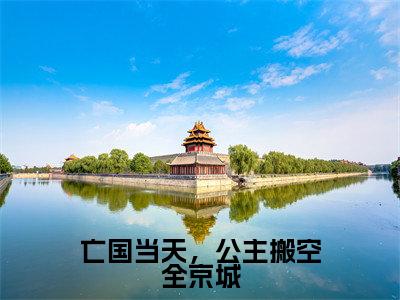 (沈婳后续+全集)亡国当天,公主搬空全京城(沈婳)小说小说全集沈婳无删减在线阅读