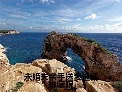 黎封尘沈枝意是什么小说-(未婚夫亲手送我进精神病院全文阅读)最新章节列表