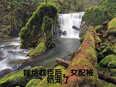 嫁给权臣后,女配被娇宠了(乔菁菁)小说全文免费阅读-乔菁菁小说最新章节完整版