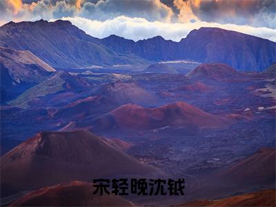 榜单小说宋轻晚沈钺全文免费阅读无弹窗大结局-沈钺宋轻晚全文在线阅读