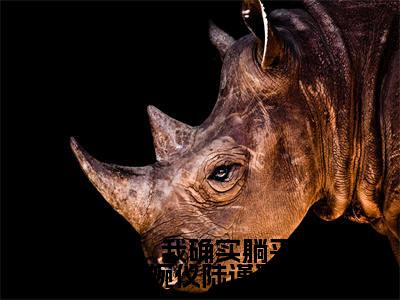 (沈婉仪陆谨寒)后来,我确实躺平了沈婉仪陆谨寒全文免费阅读无弹窗大结局_(后来,我确实躺平了沈婉仪陆谨寒)沈婉仪陆谨寒免费阅读无弹窗最新章节列表