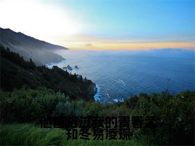 他曾路过我的青春孟知冬易凌琛（孟知冬易凌琛）小说免费阅读完结版-他曾路过我的青春孟知冬易凌琛小说全文免费阅读