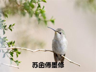 傅墨修苏函苏函傅墨修小说全文无广告阅读-傅墨修苏函小说赏析苏函傅墨修