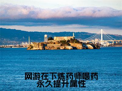 小说网游在下炼药师喝药永久提升属性全文免费阅读无弹窗大结局_(夏弈)全文在线阅读