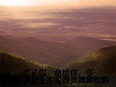 心还你，命给你，今后你我死生不见薛灵微顾松鹤（顾松鹤薛灵微）全文小说-心还你，命给你，今后你我死生不见薛灵微顾松鹤小说最新章节免费阅读
