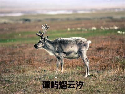 谭屿熠云汐(云汐谭屿熠)全文免费阅读无弹窗大结局_谭屿熠云汐全文在线阅读无弹窗