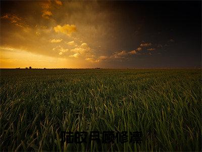 陆皎月顾修凛全文最新章节(顾修凛陆皎月)全文免费阅读无弹窗大结局_顾修凛陆皎月免费阅读