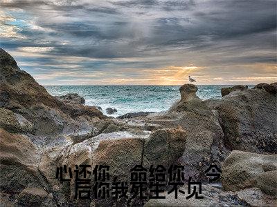 顾松鹤薛灵微大结局免费阅读心还你，命给你，今后你我死生不见最新热点小说