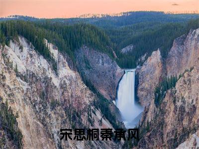 宋思桐秦承风(秦承风宋思桐)全文免费在线阅读_宋思桐秦承风全文阅读_笔趣阁(秦承风宋思桐)