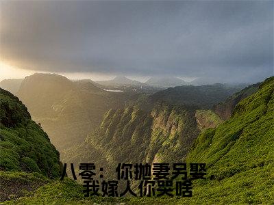 八零:你抛妻另娶,我嫁人你哭啥全集小说完整版大结局_南初完结版在线阅读