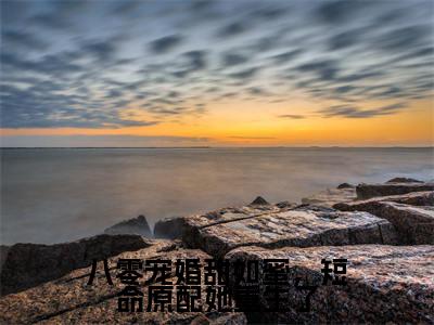 简云廷李文姝小说完整版阅读-八零宠婚甜如蜜,短命原配她重生了小说全文无删减版