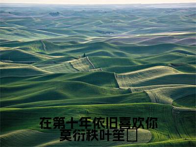 在第十年依旧喜欢你莫衍秩叶笙氿小说（叶笙氿莫衍秩）热推新书_在第十年依旧喜欢你莫衍秩叶笙氿最新章节在线阅读_笔趣阁